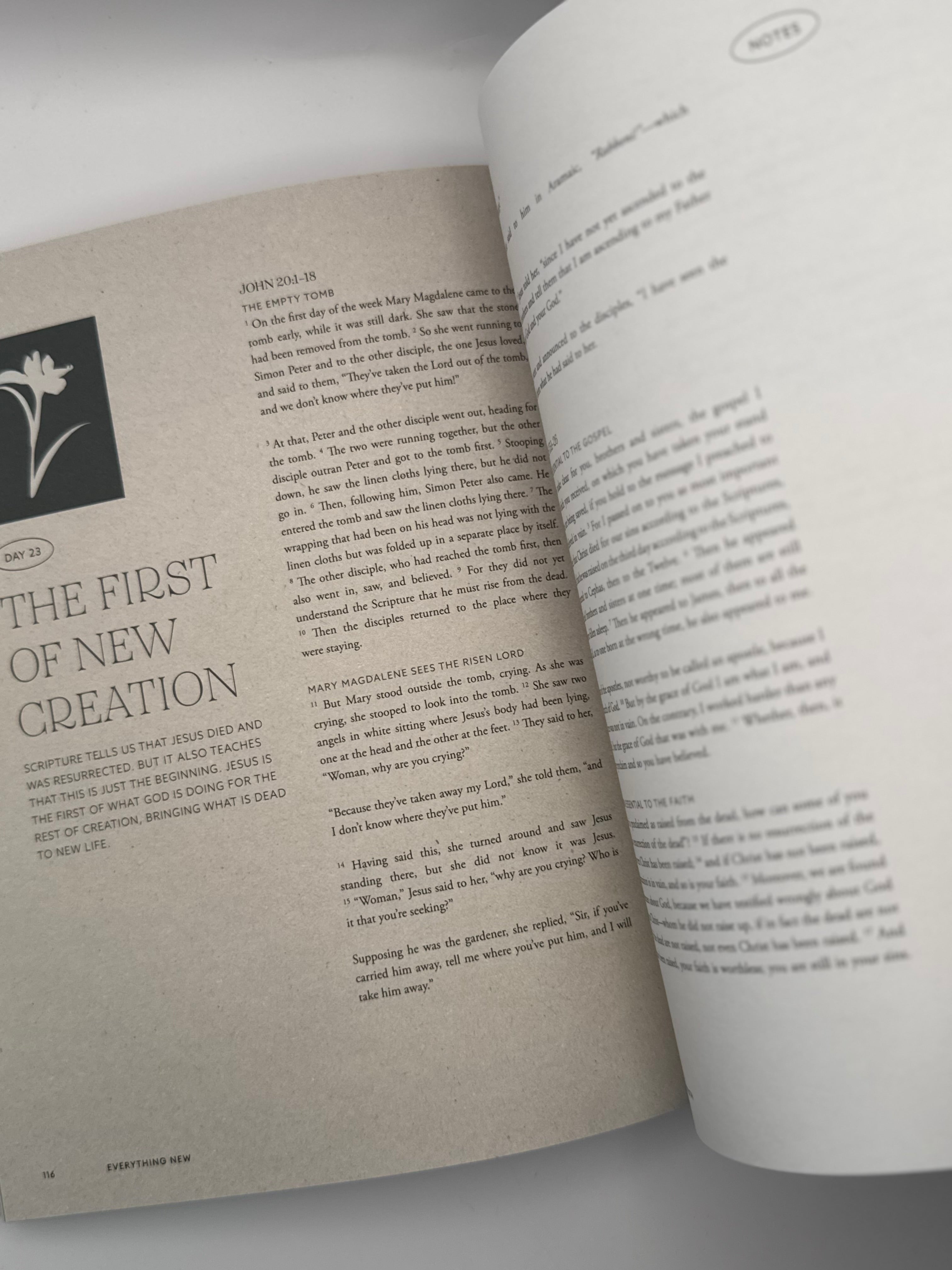 EVERYTHING NEW : SRT Bible Study