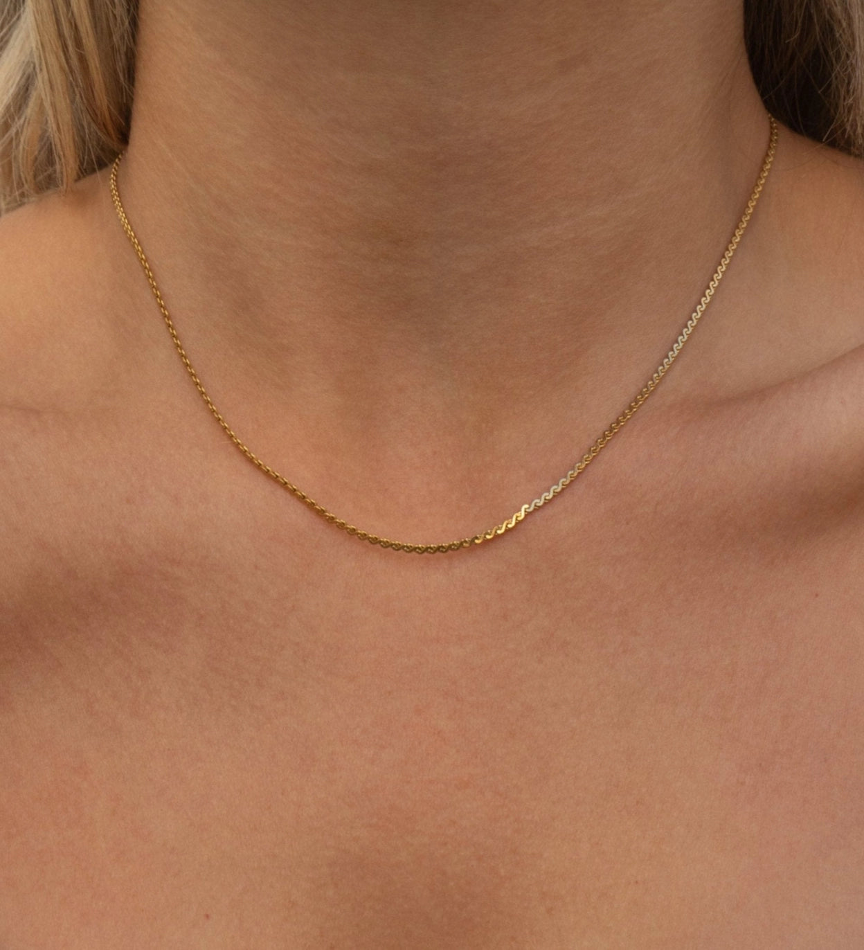 Snake Chain Textured Necklace